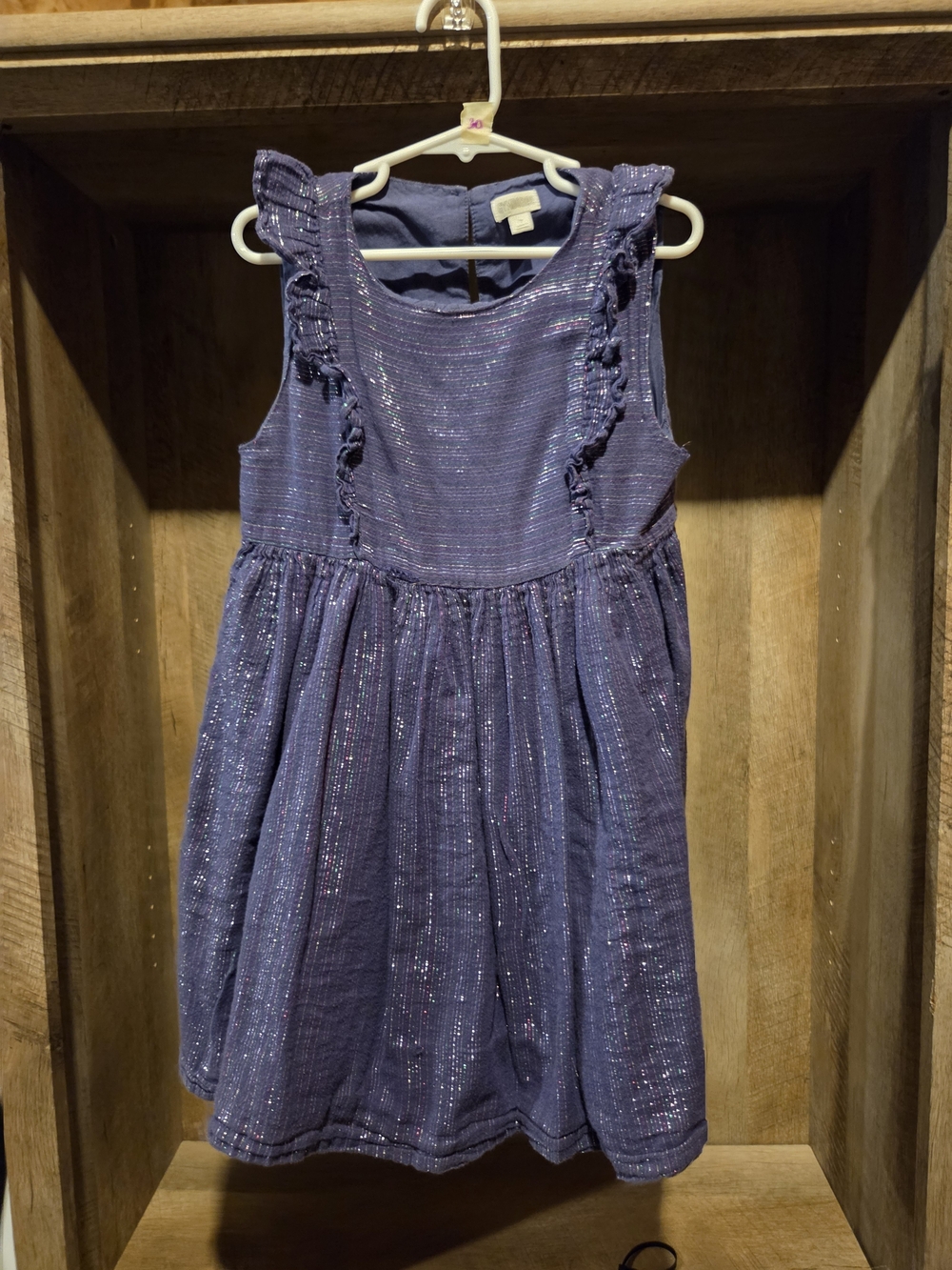 Gymboree Sparkle Ruffle-Trim Dress in Purple